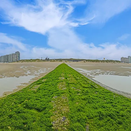 Flat In De Panne With Sea View And Dunes, Cleaning Included Lejlighed *